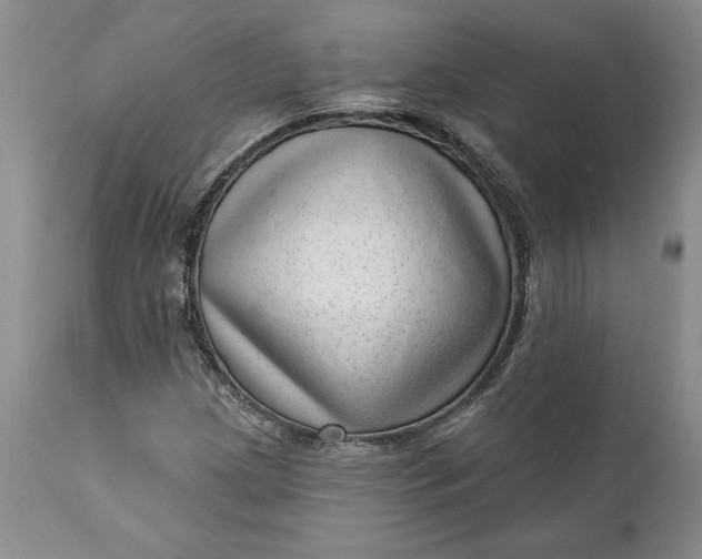 X0000111041209200907091601