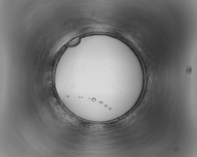 X0000111041211200907091601