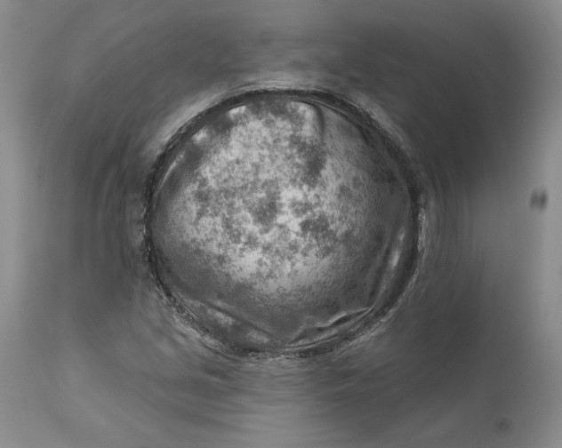 X0000111041213200907091601