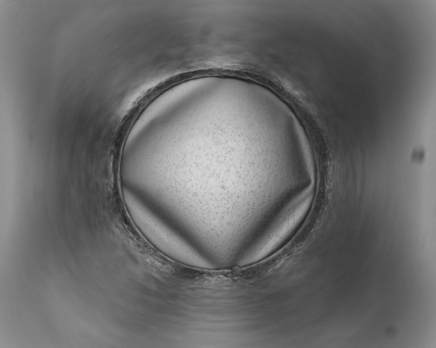 X0000111041214200907091601