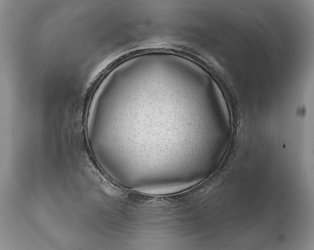 X0000111041216200907091601