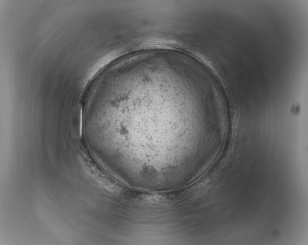 X0000111041219200907091601