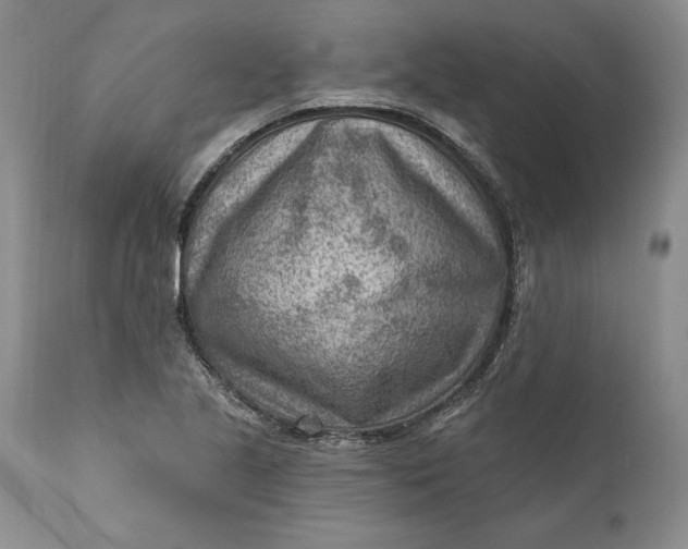 X0000111041221200907091601