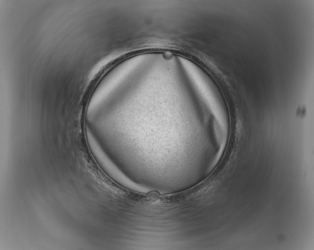 X0000111041222200907091601