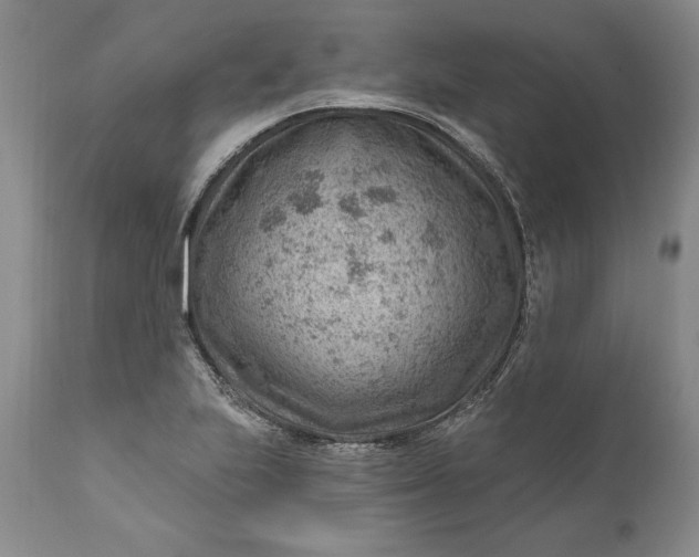 X0000111041223200907091601