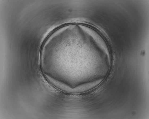 X0000111041224200907091601