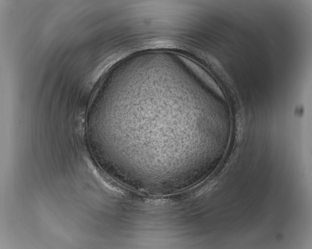 X0000111041225200907091601