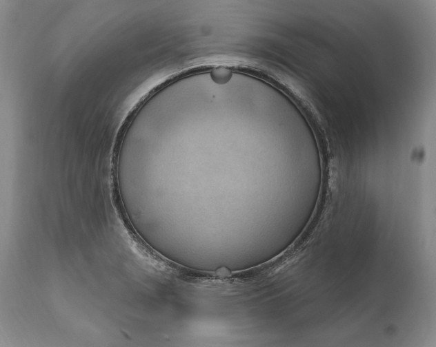 X0000111041229200907091601