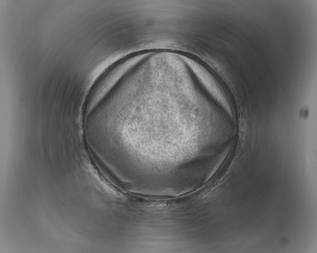 X0000111041230200907091601