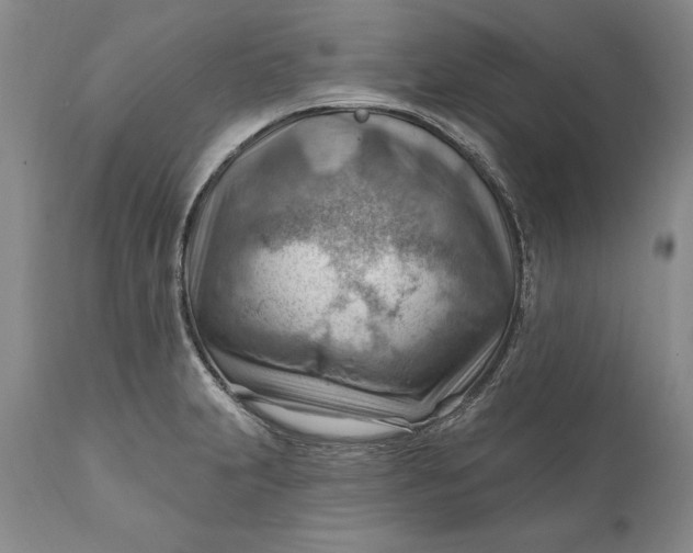 X0000111041231200907091601