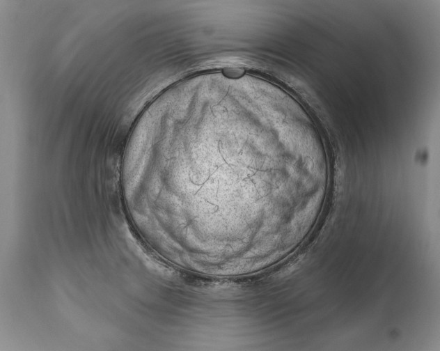 X0000111041233200907091601