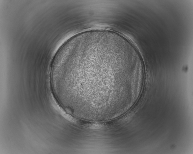 X0000111041235200907091601