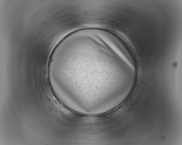 X0000111041236200907091601