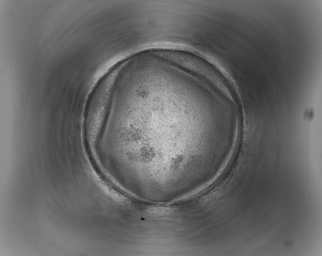 X0000111041237200907091601