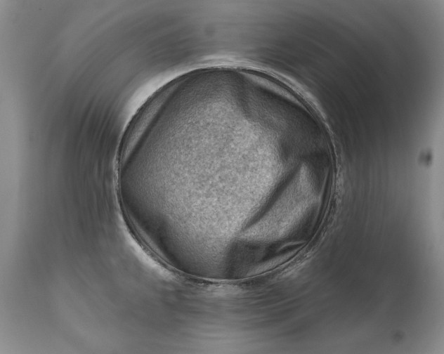 X0000111041239200907091601