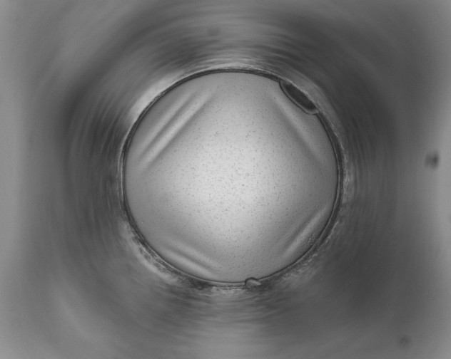 X0000111041242200907091601