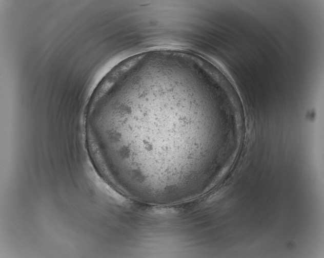 X0000111041243200907091601