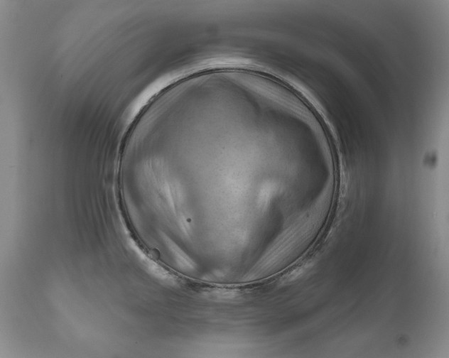 X0000111041245200907091601