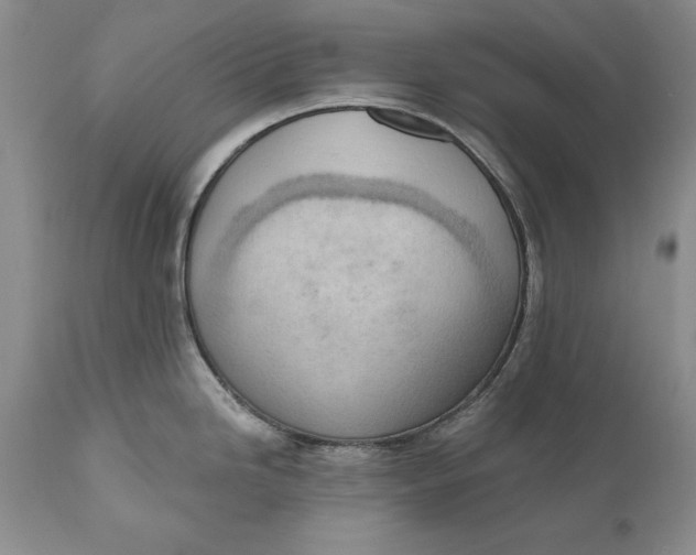 X0000111041246200907091601