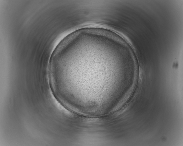 X0000111041247200907091601