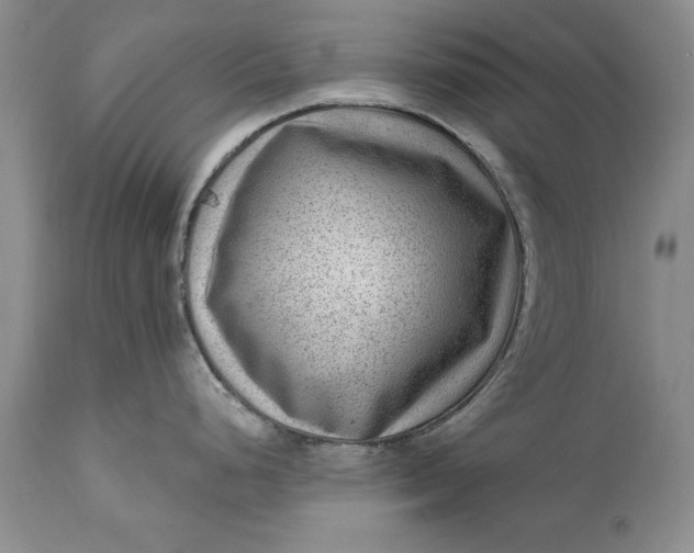 X0000111041248200907091601