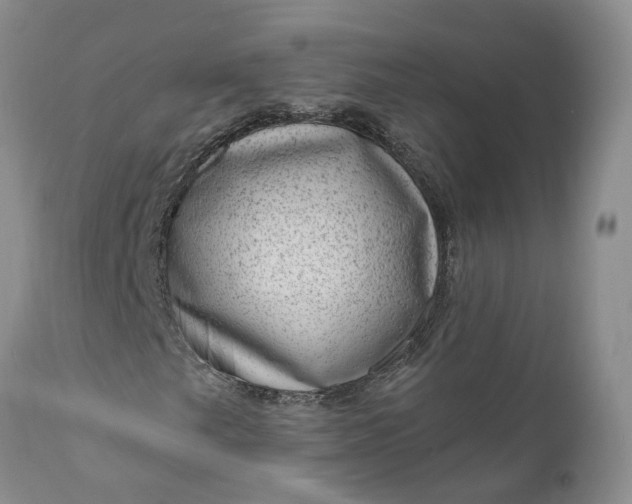 X0000111041249200907091601