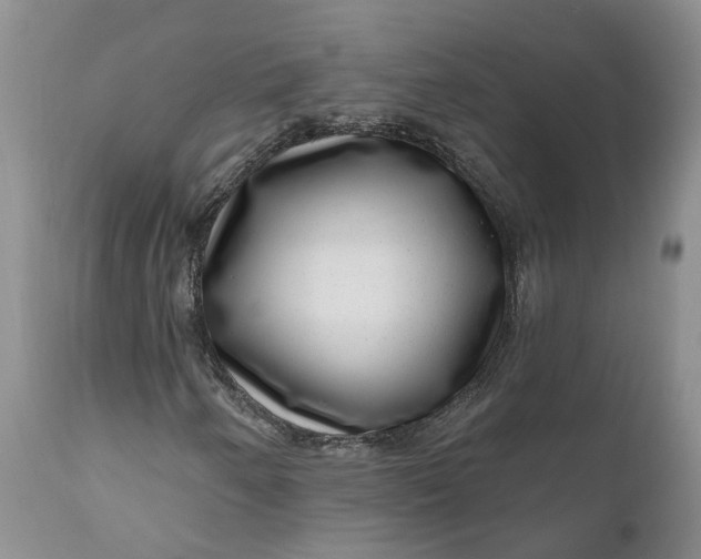 X0000111041250200907091601