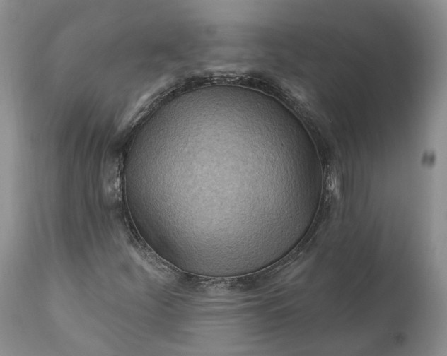 X0000111041252200907091601