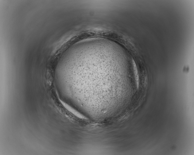 X0000111041253200907091601