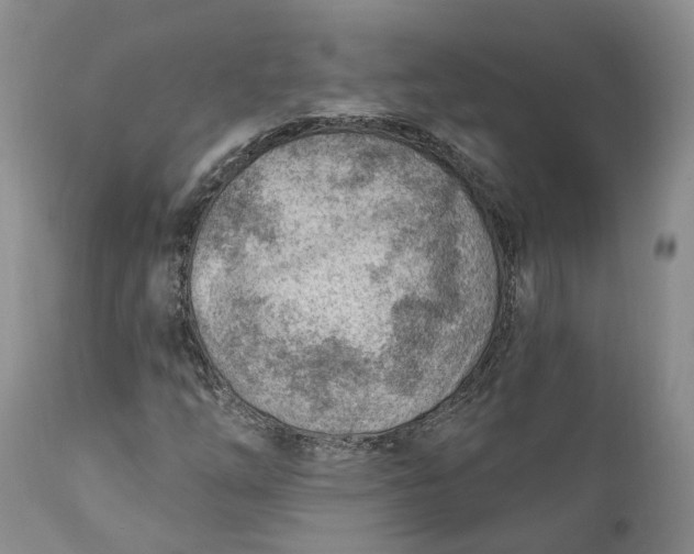 X0000111041254200907091601