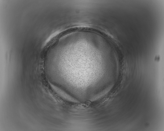 X0000111041255200907091600