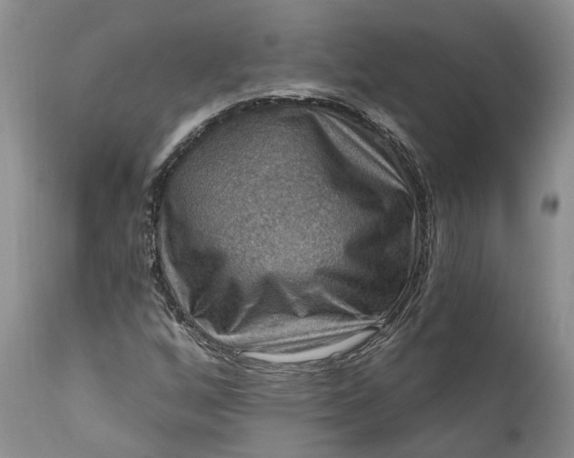 X0000111041256200907091600