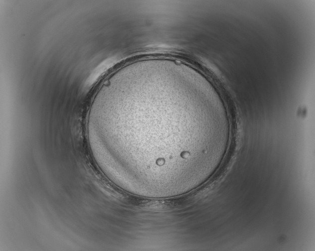 X0000111041259200907091600