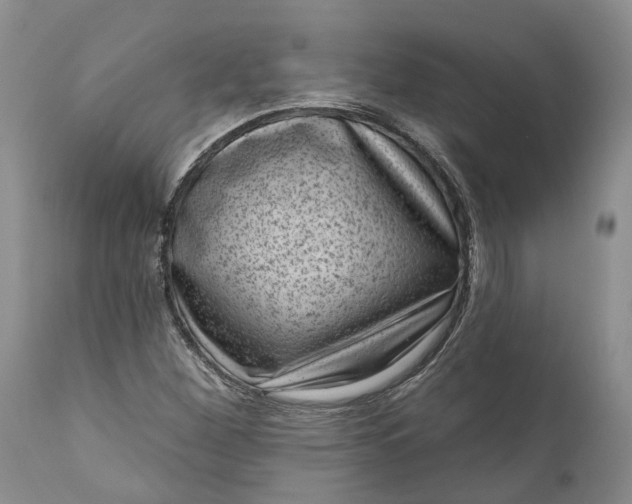 X0000111041260200907091600