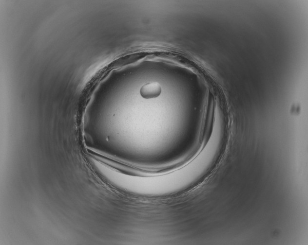 X0000111041261200907091600