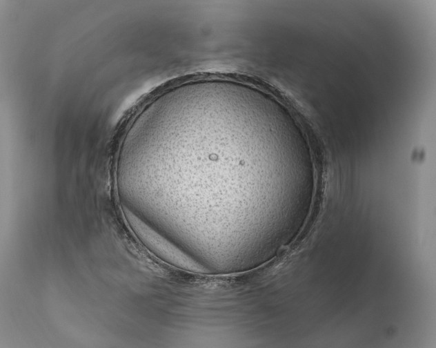 X0000111041262200907091600