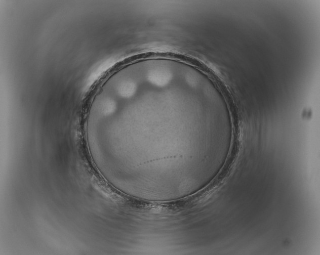 X0000111041263200907091600