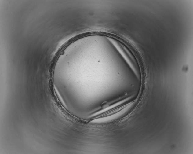 X0000111041264200907091600