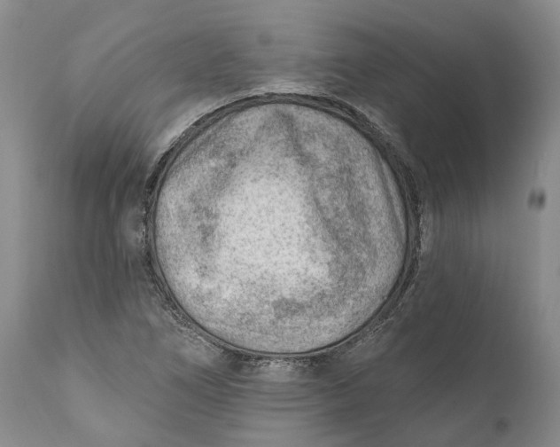 X0000111041266200907091600