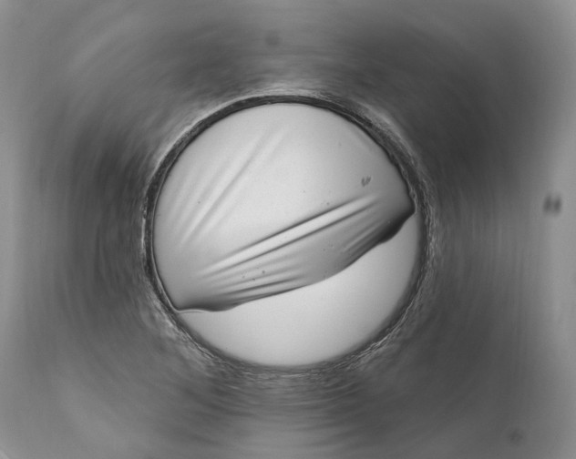 X0000111041268200907091600