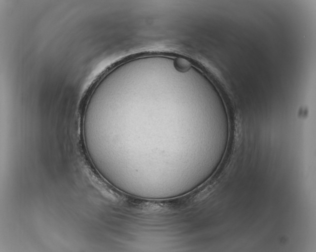 X0000111041270200907091600