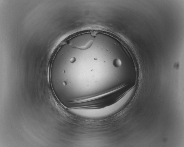 X0000111041272200907091600