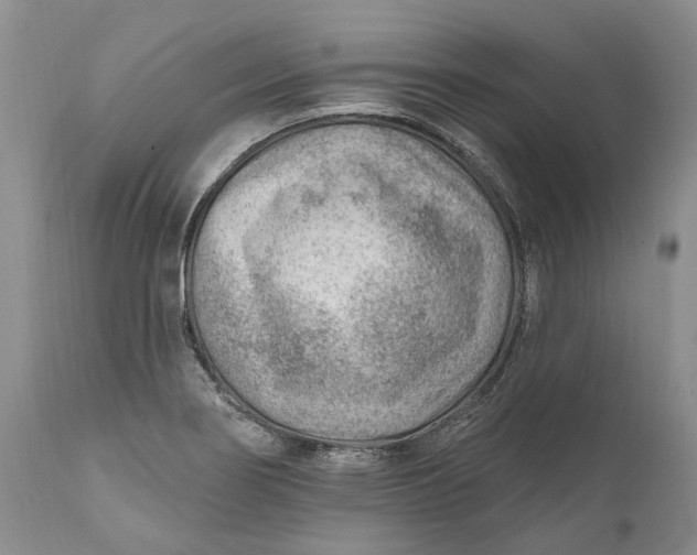 X0000111041274200907091600