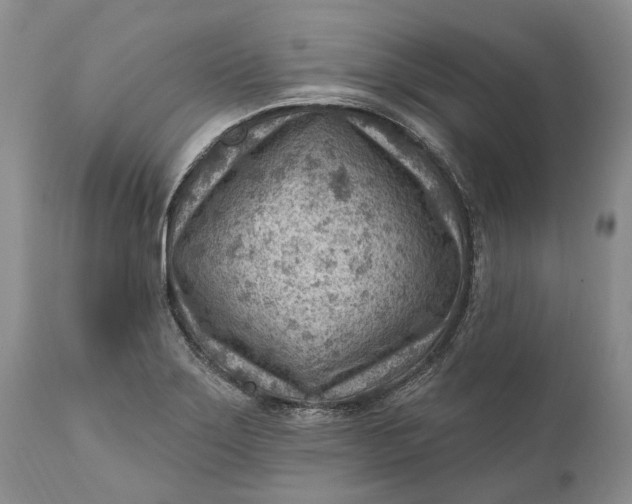 X0000111041275200907091600