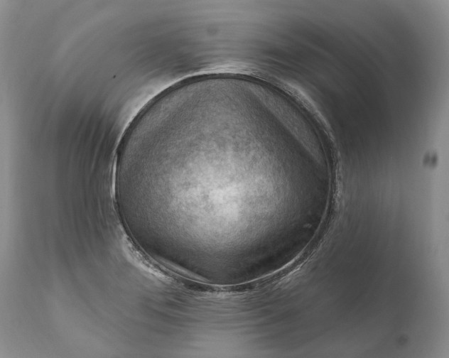 X0000111041276200907091600