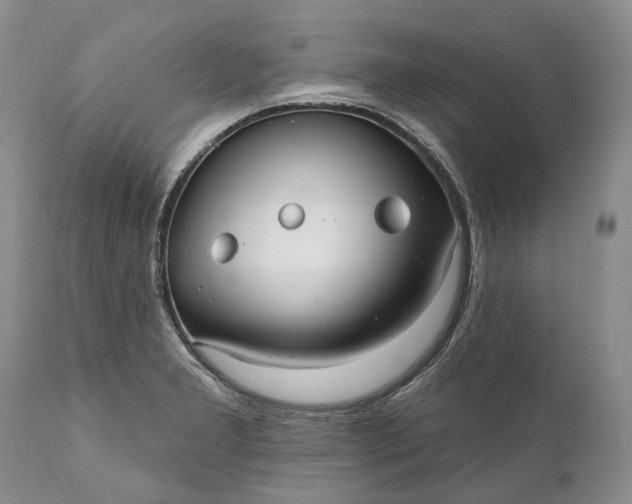 X0000111041277200907091600