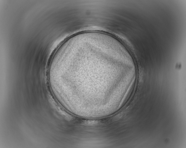 X0000111041278200907091600