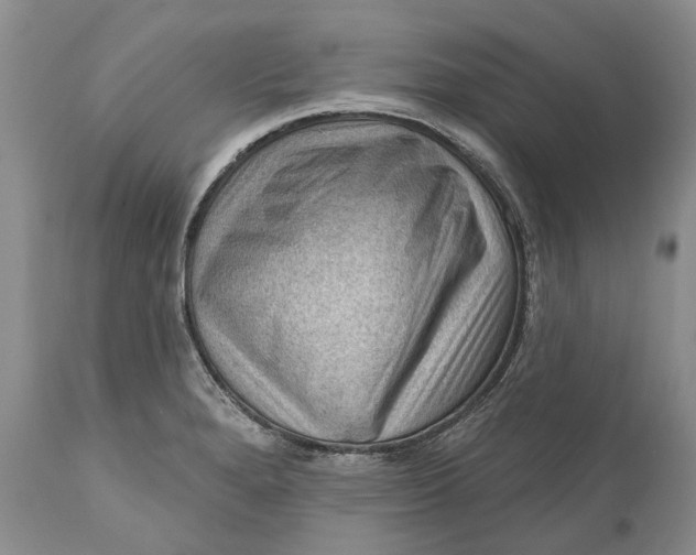 X0000111041280200907091600