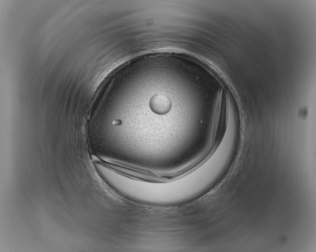 X0000111041281200907091600