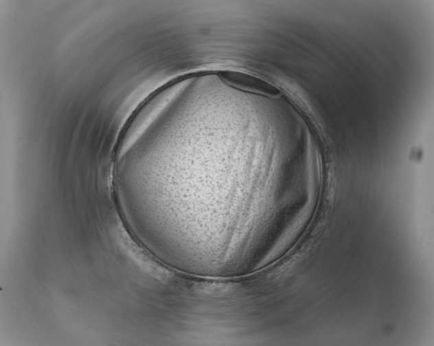 X0000111041284200907091600